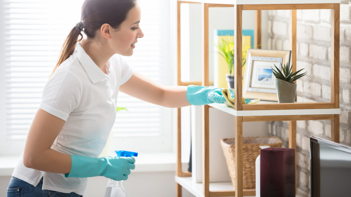 Cleaning Services