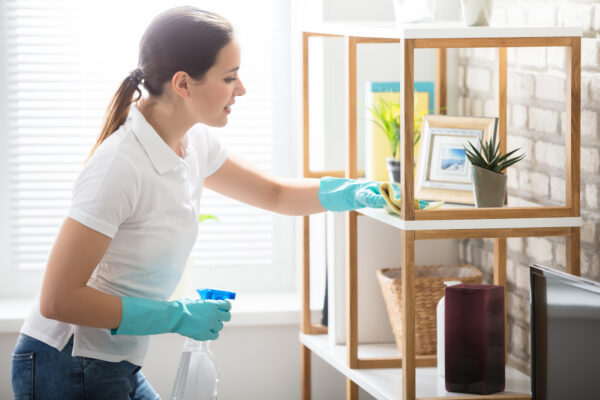 Why This Year’s Greatest Investment Is in House Cleaning Services