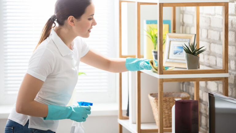 Cleaning Services