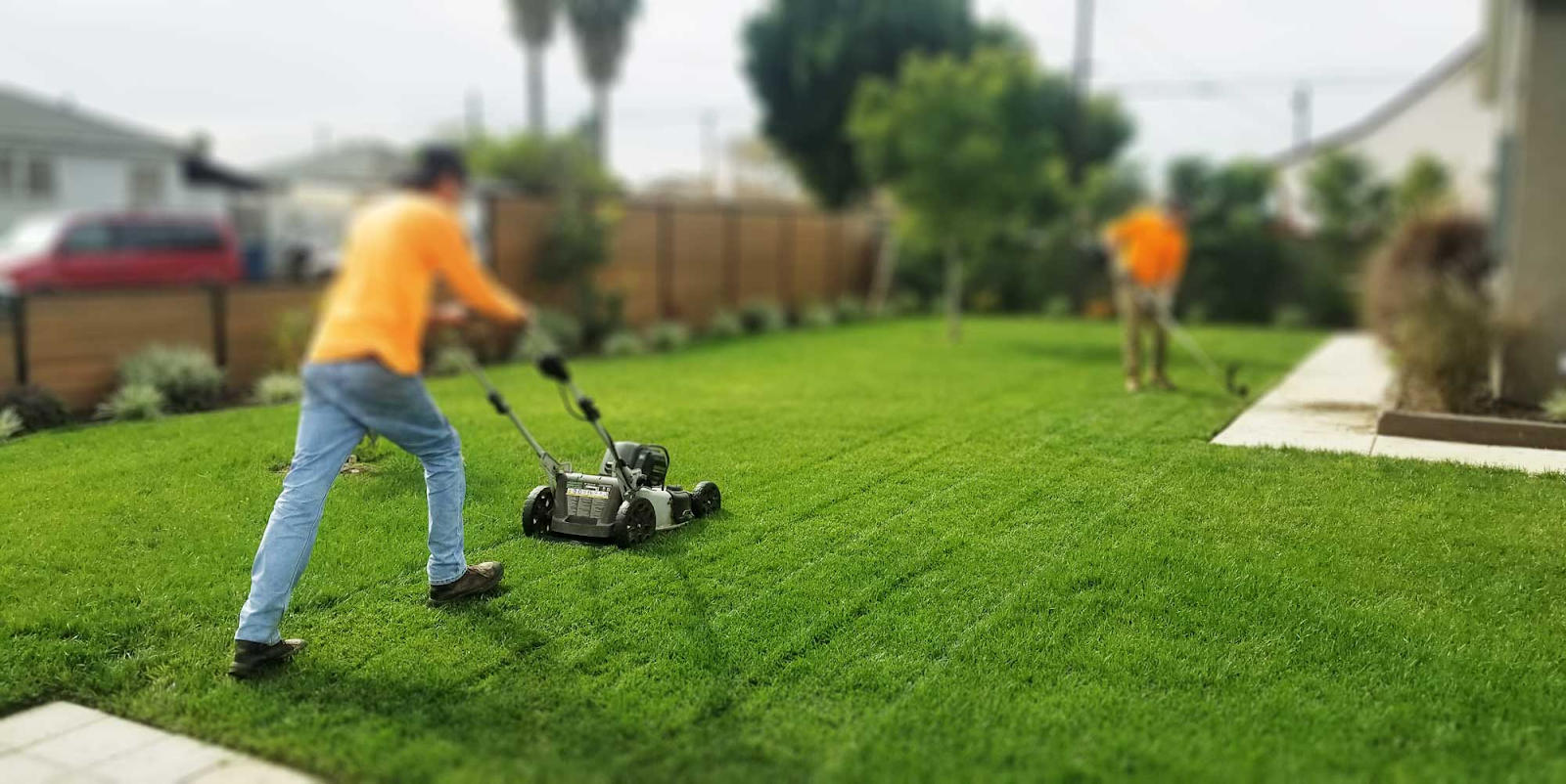 The Homeowner’s Guide to Services and Upgrades That Boost Comfort and Style